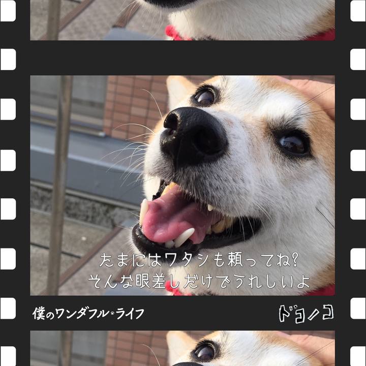 D01c390b 5124 4f67 978e 25326ca7fbe4