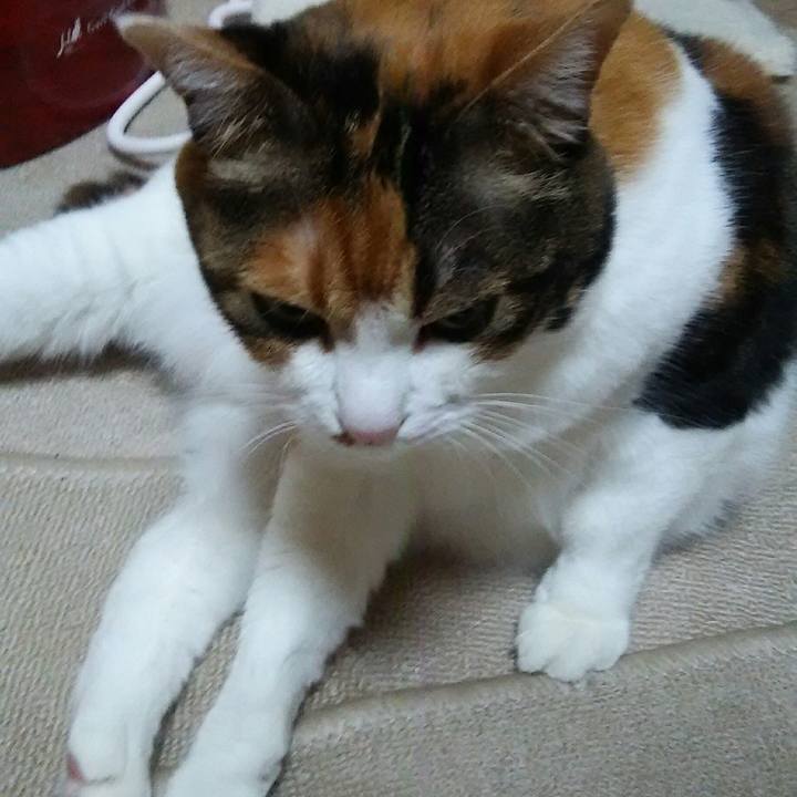 D01db266 270a 42cf a177 16ff7435e669