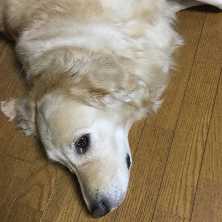 D01e08df c933 40b1 92a7 653a678fcd6d