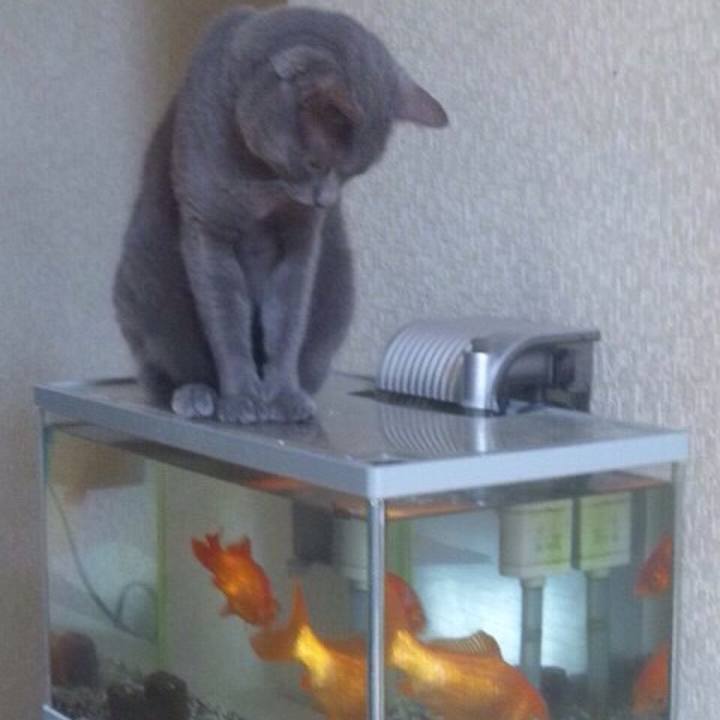 D01e1eea 9b34 446d 83e6 c65330792c5c