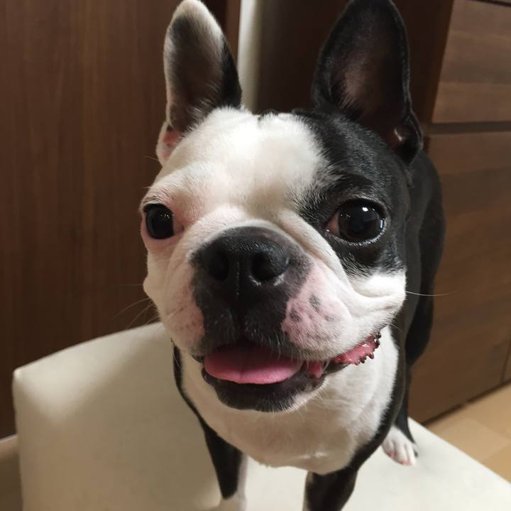 D01e89f7 3567 417a a897 9fc3207dafbc