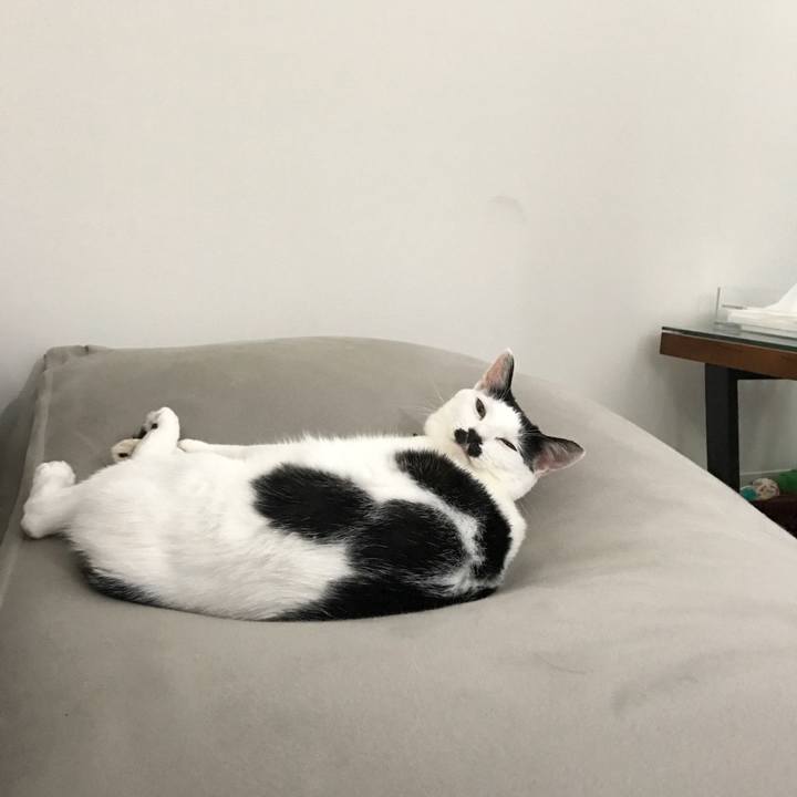 D01ee62b 1008 49cf 884b 44a9824eb298