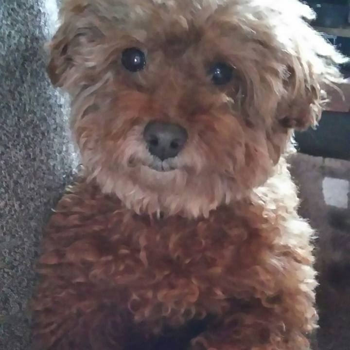 D01f3882 41cd 4c28 87cd 90d151dedee9