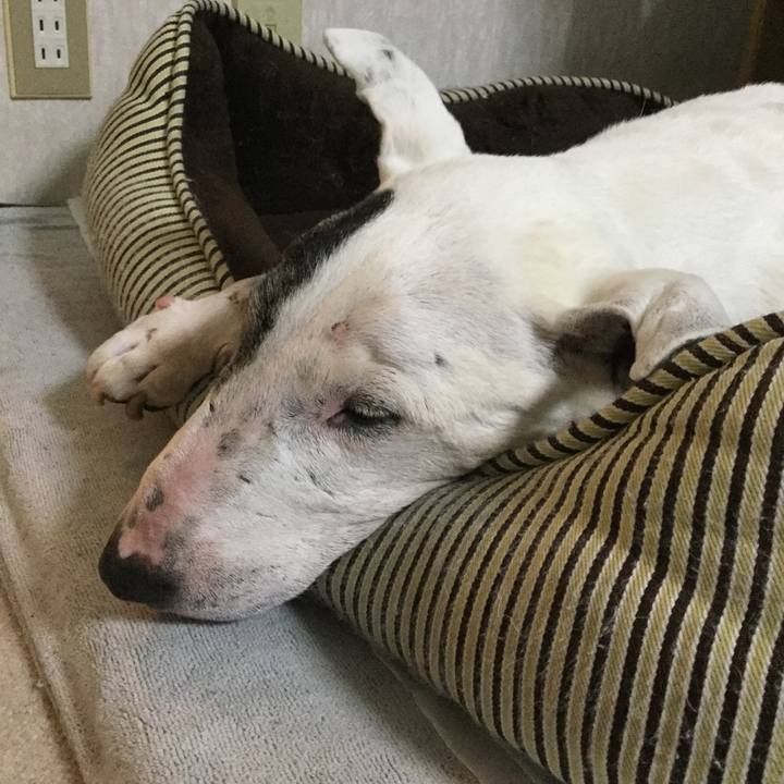 D01f6ab2 1ab0 441f aed4 dc088bb15e2c