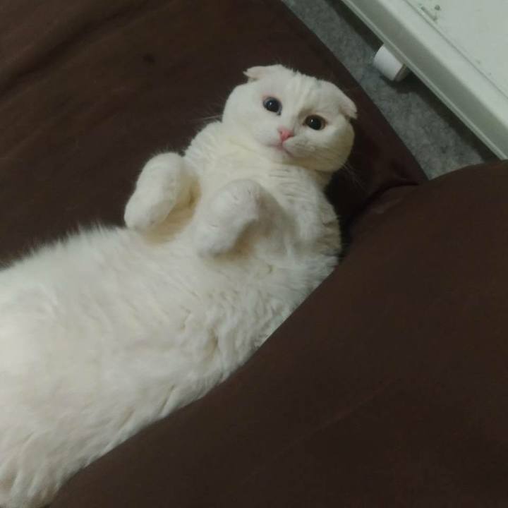 D02082c7 c021 4eaf acf2 b6f20c9a5fd7