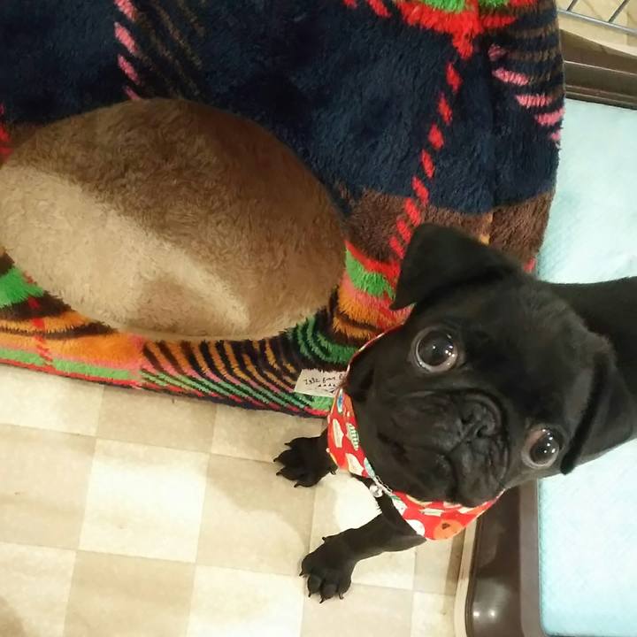 D020926b 8169 4ad0 8abb 7f763aecc48b