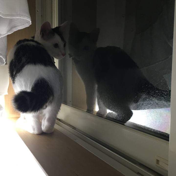 D020e8ff bb15 4858 a49f 33fae6d1cf0e