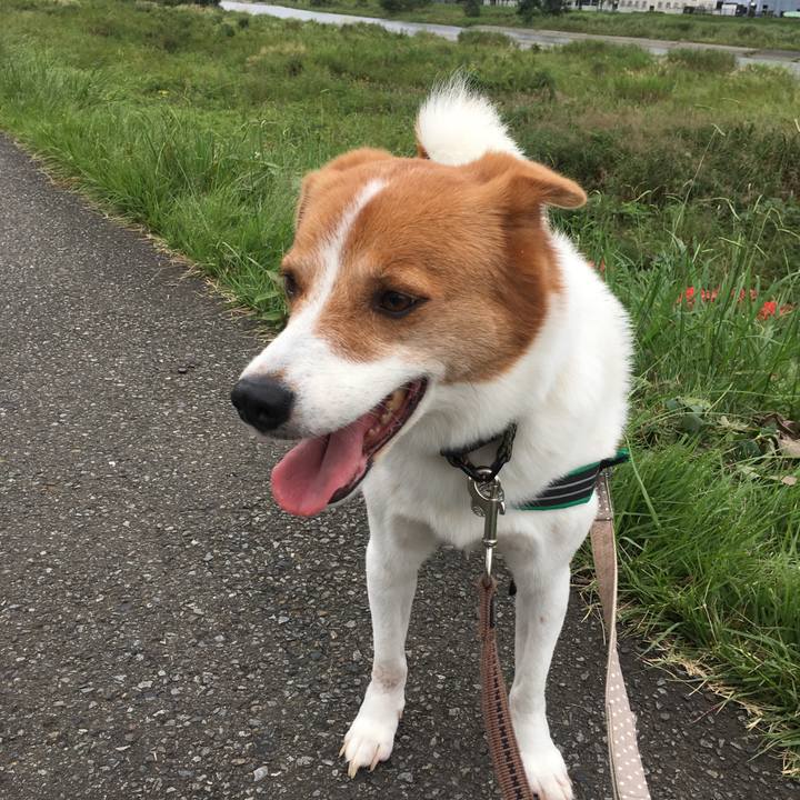 D0212757 73ee 4340 b312 f42decec13c0