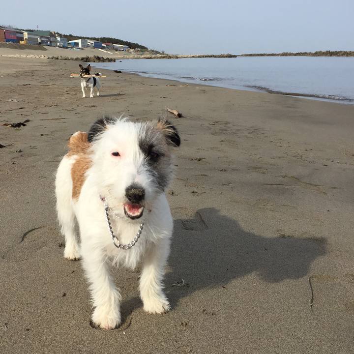 D021ca63 b42b 4717 a446 4c68f1794abb