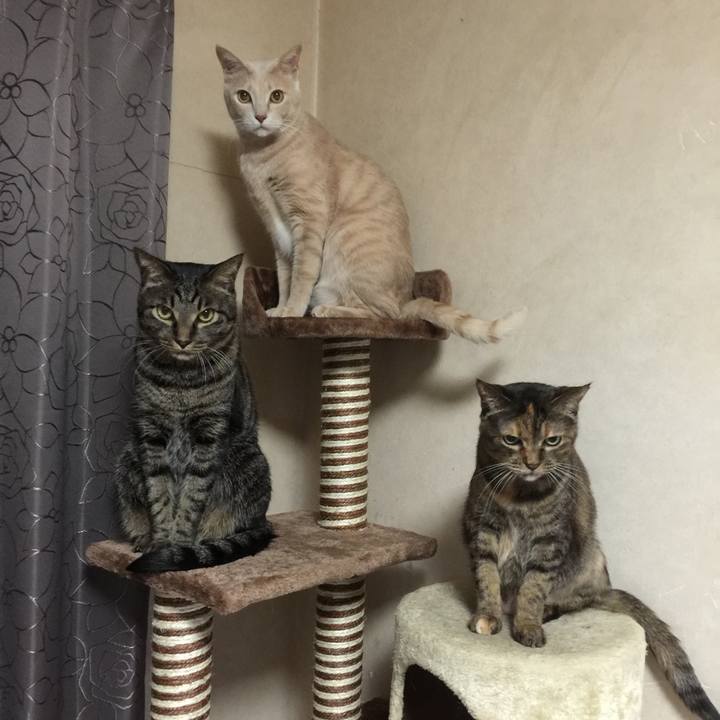 D02247e4 9b66 4afe 8803 ca83b5ff5bfb