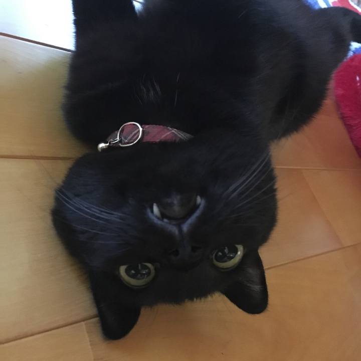 D0227977 943c 4e76 8789 fe06272ede3f