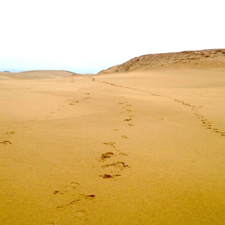 D02281aa 6d3f 4a47 b38c 2b6f0f8cdb9e