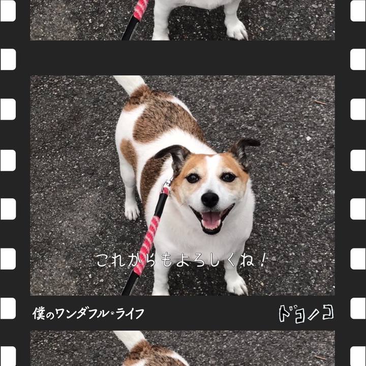 D023132b 0708 4b3f a152 40ff612dd9ec