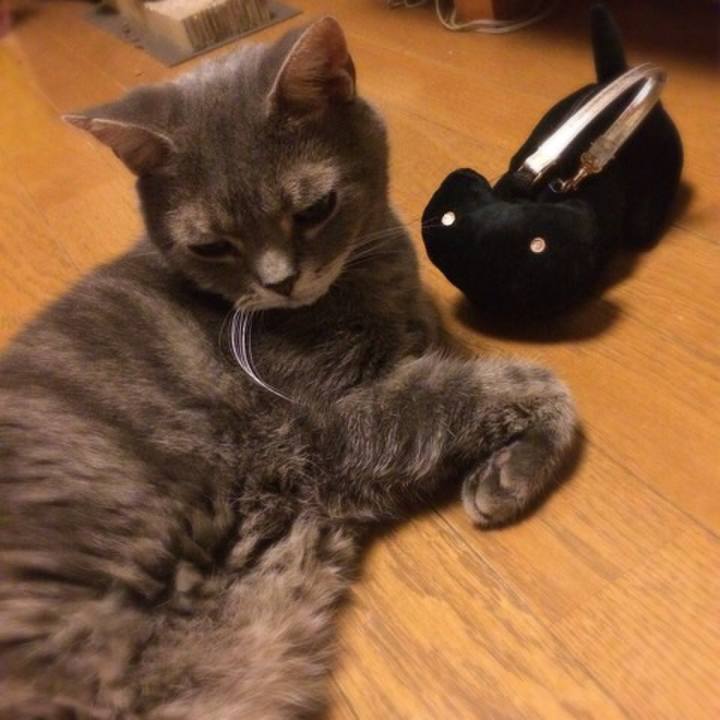 D0234ee5 d386 4951 940f 7bd9884adba5