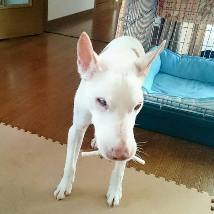 D0237b87 80d5 42db b2be 064f5393ba4a