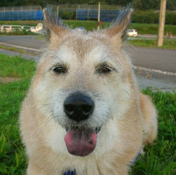 D023c6b8 d0a5 41a9 9f9a 9665103a9b4c