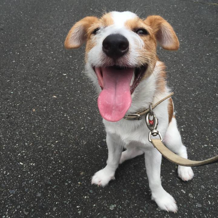 D0240706 bbba 4455 a5f8 0ced740a69b1