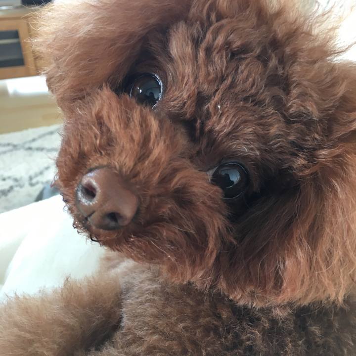 D0243843 6adc 4c30 a1d0 70a7efe973b9