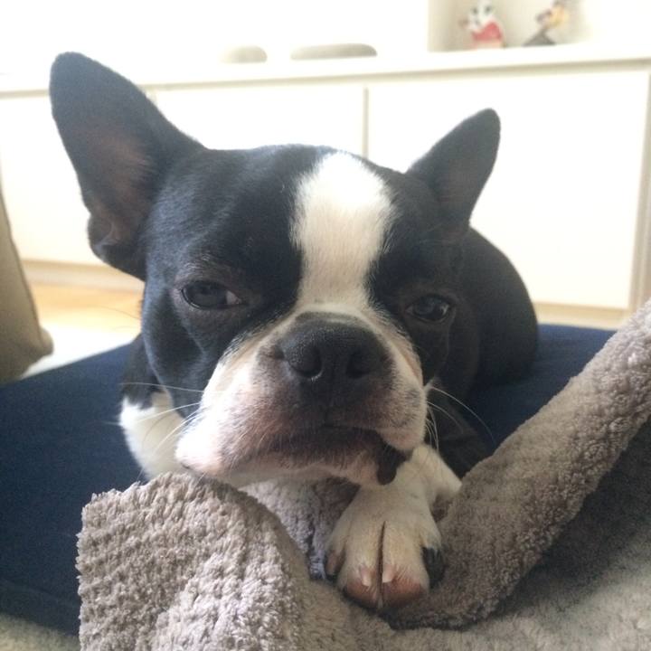 D0249213 7252 4d79 9fcb 7dfcdf6188d7