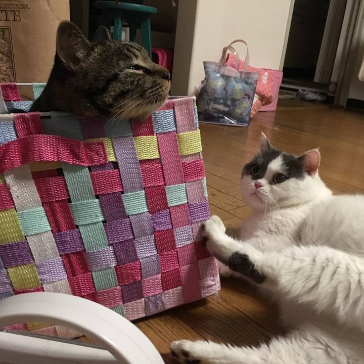 D024b7ef 4c83 4012 904d ce9c8ab3e0d3