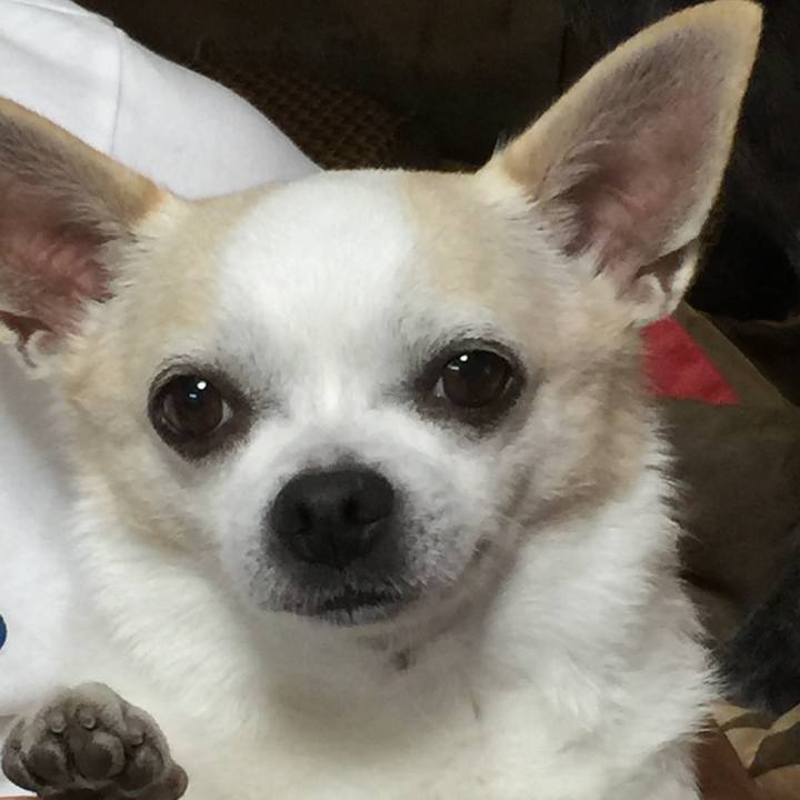 D025dc62 cf33 4be2 91f8 69bb60150d9a