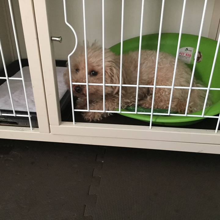 D025e685 b055 4f72 a202 647a1fabe9fa