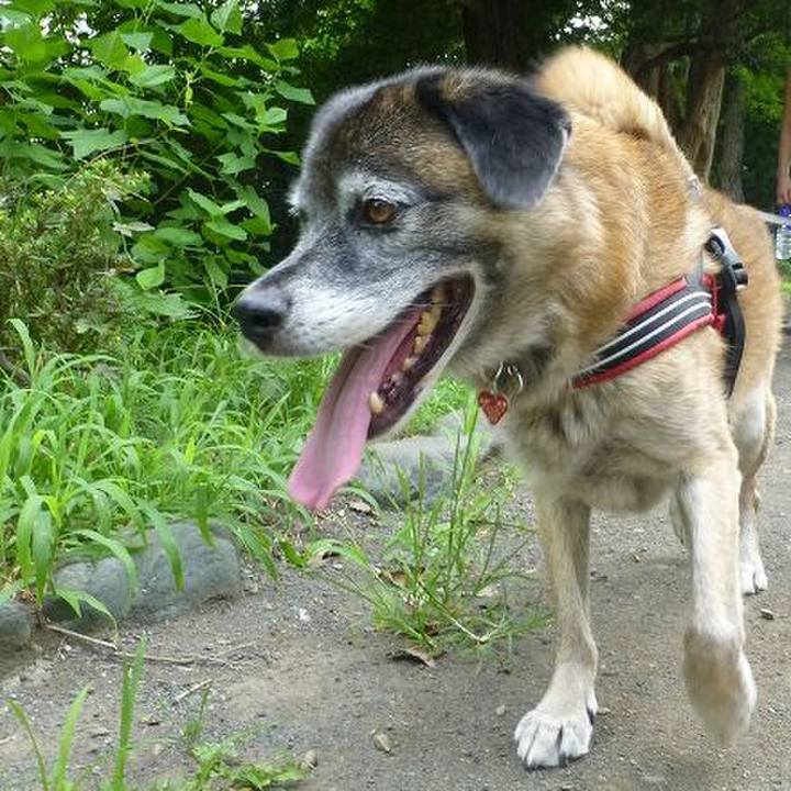 D0261382 0086 4a39 a1b1 12cefae6ff52