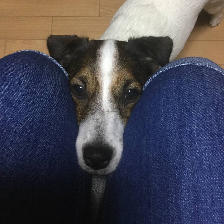 D0272f1f 3ea4 466b a3ee 53d33599138c