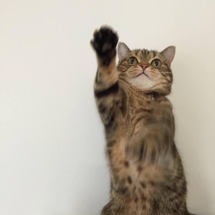 D027d34f 1bf9 4bf0 b2e7 ce3be14cf80d