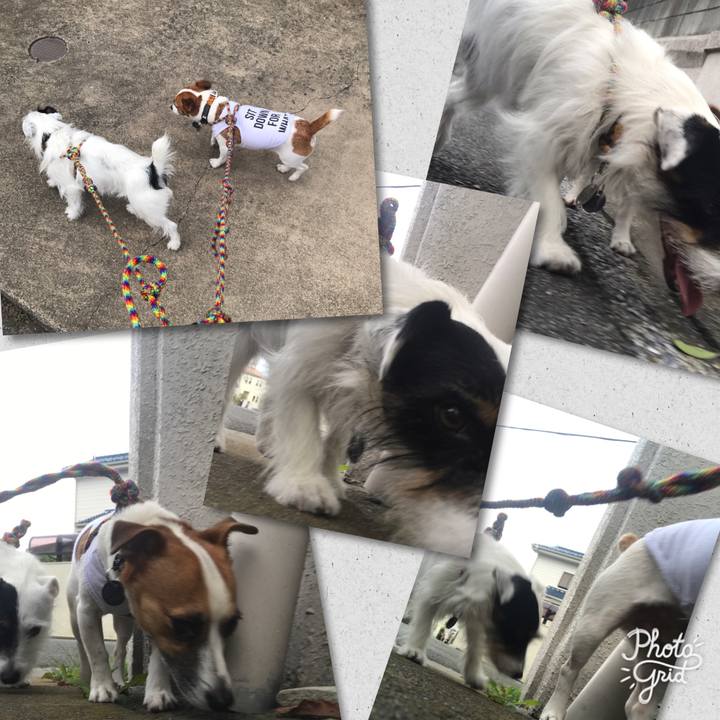 D0281adf 8e85 45cc 99b6 ff736ce21d4c