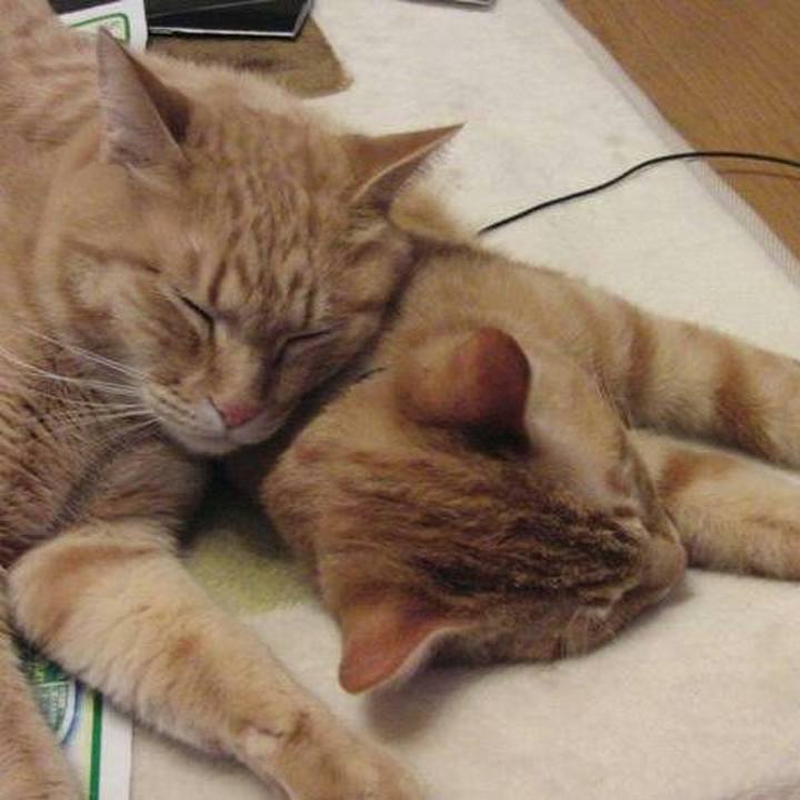 D0286c76 2721 4369 a7f8 c5baa023a2bd