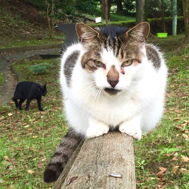 D0288609 b320 439d a57b 60c040d56524