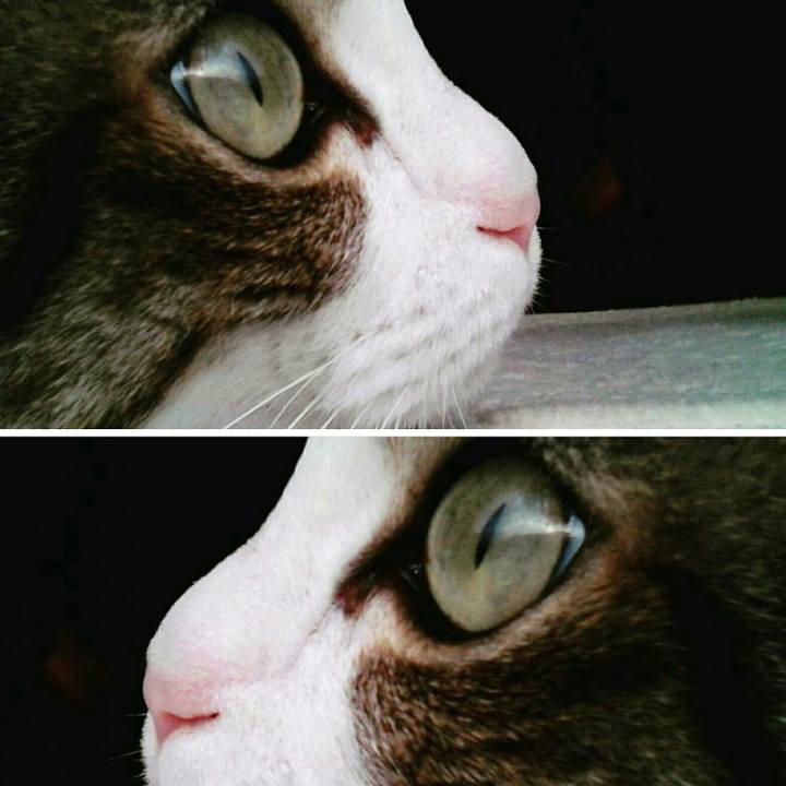 D028f63a 8633 492c 8948 07d19406025a