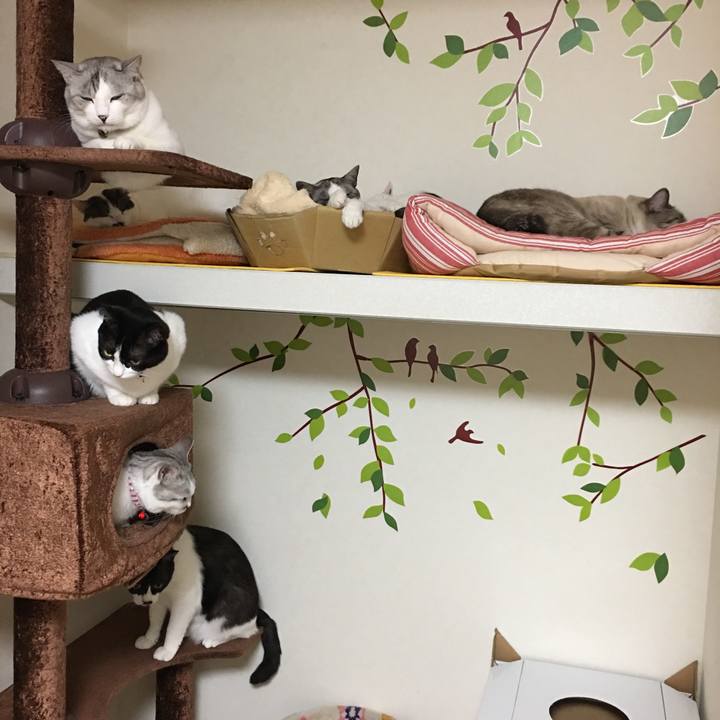 D0291f54 4c9f 4f1f 85d2 b0d6b0c2d285