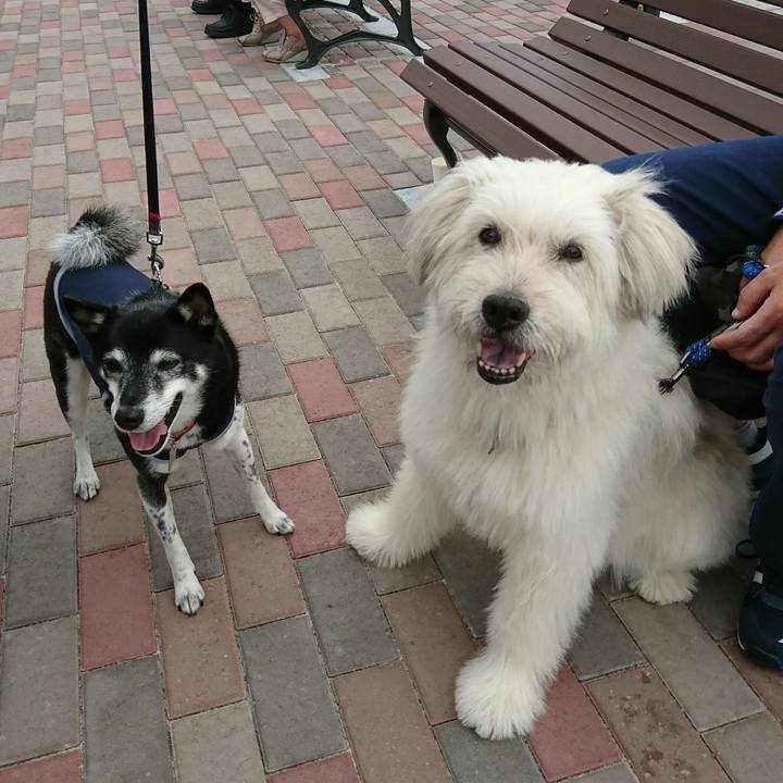 D0297226 923e 4a08 90e9 cddc1cde573b