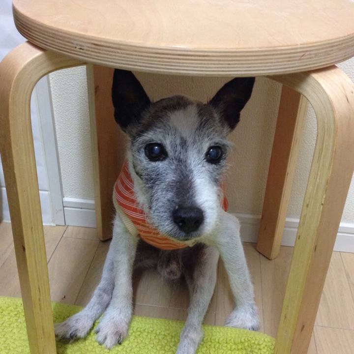 D029a671 1dec 402b a5ec 9a80c05160a5