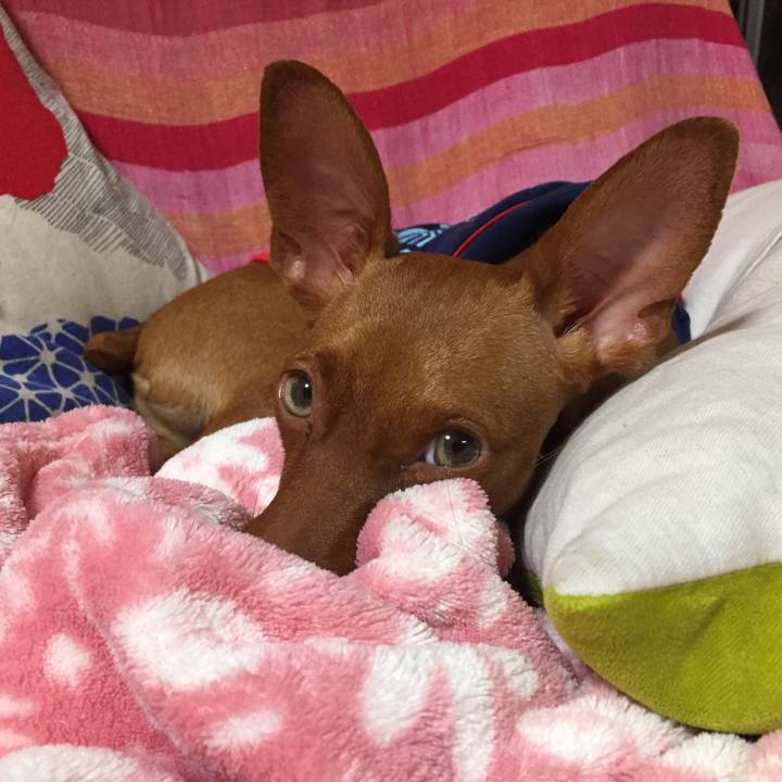 D029bd23 e365 4734 9de3 02f0d7a82518