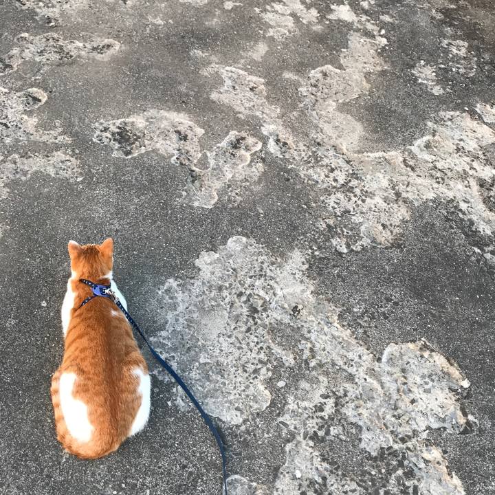 D029c5f6 f442 49bb 9761 386ea22f550f