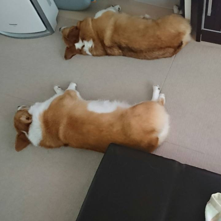 D029e8ff 28bf 4d0f ad91 44d13f77bdc9