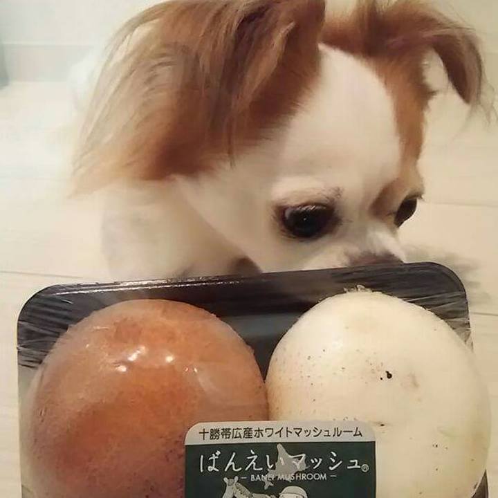 D02a80ca 776b 4258 b02d 2315e255dc35