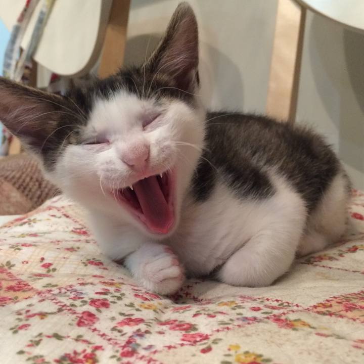 D02a9a79 2885 411a a9e8 c50f1082dfd6