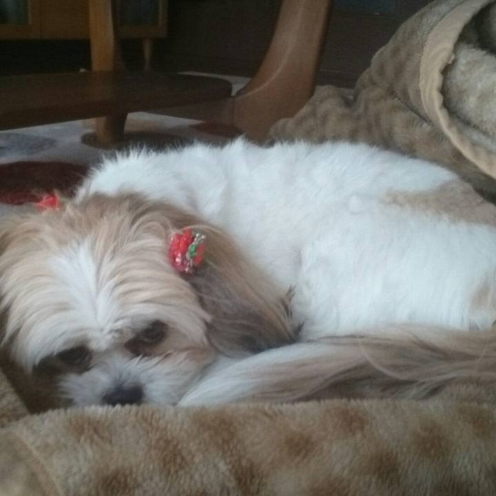 D02ab389 0c8b 4d02 9871 be6d7c9256a8