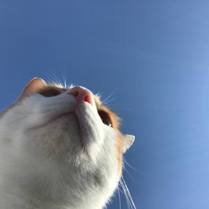 D02b3dd0 d1d7 4c55 afb3 adaf1662230d