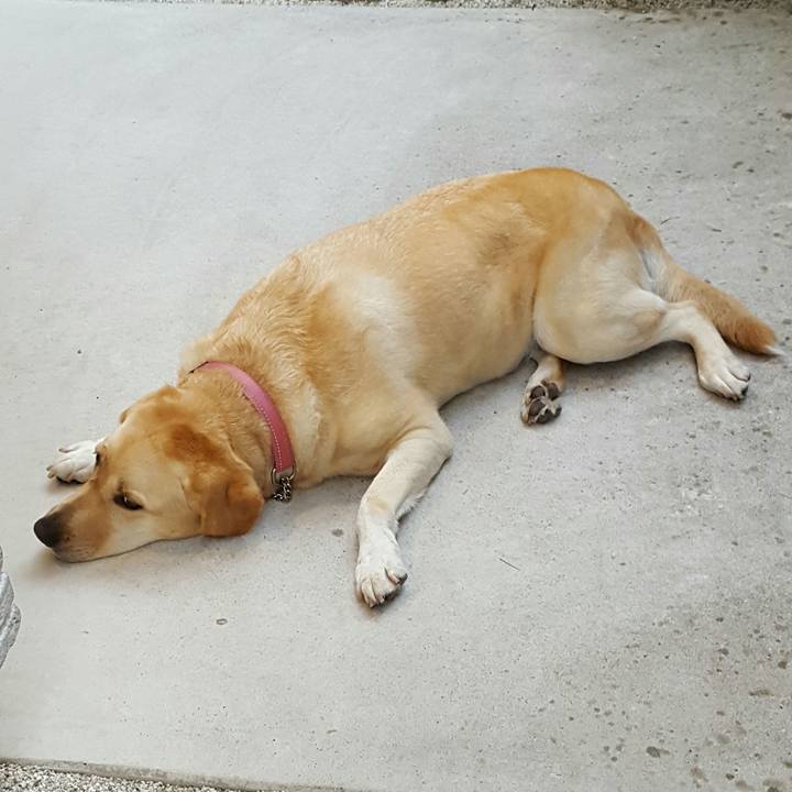 D02b9699 d28e 4f4e 9aa8 4b4984c0ee14