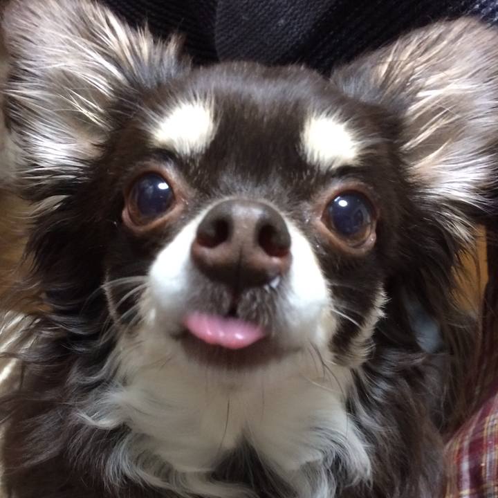 D02cc053 98e0 4c16 bc93 b576cc620cd0