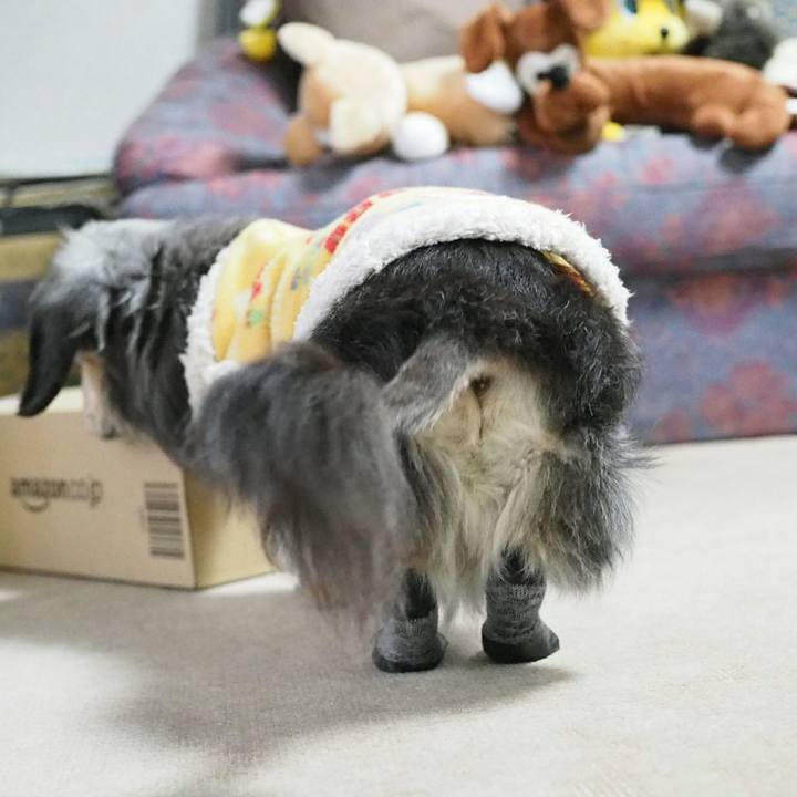 D02d85cd eab3 488e 921c 32f059aa9976