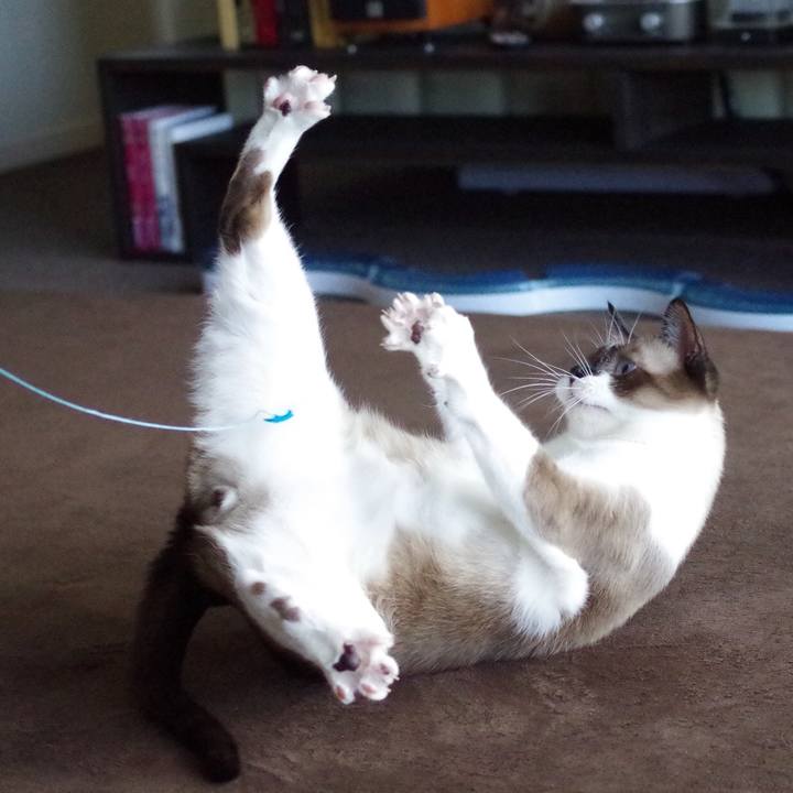 D02ddada 7cf0 4c94 9e53 809e91dc8e1c