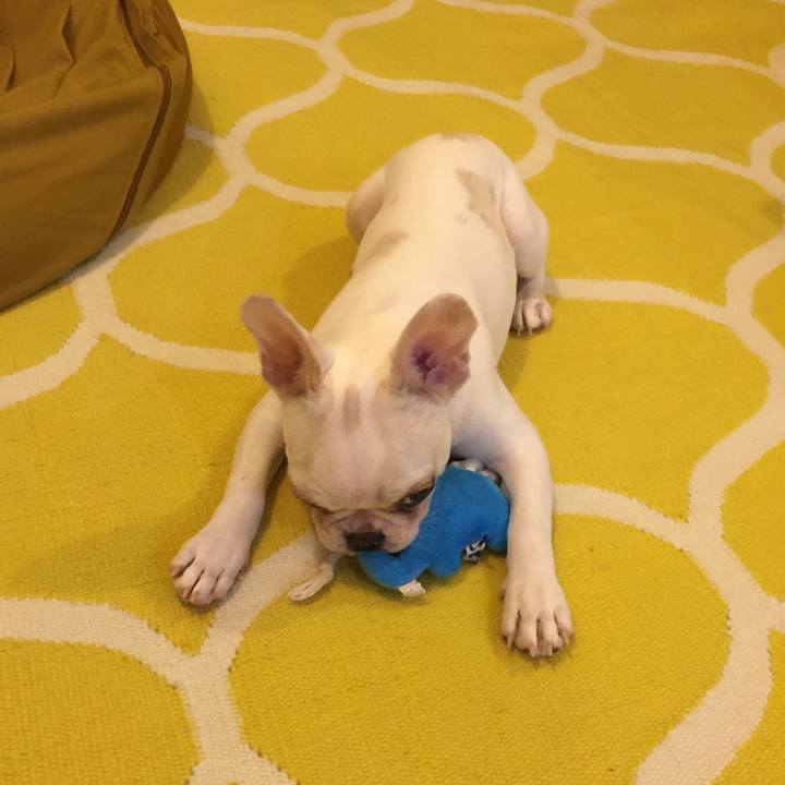 D02e35d3 ccef 4c67 bf62 14508d3fd20c