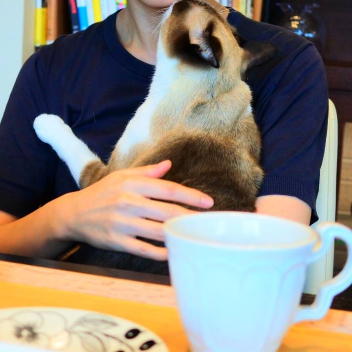 D02f3150 b816 4ae1 a483 297a6da342ab