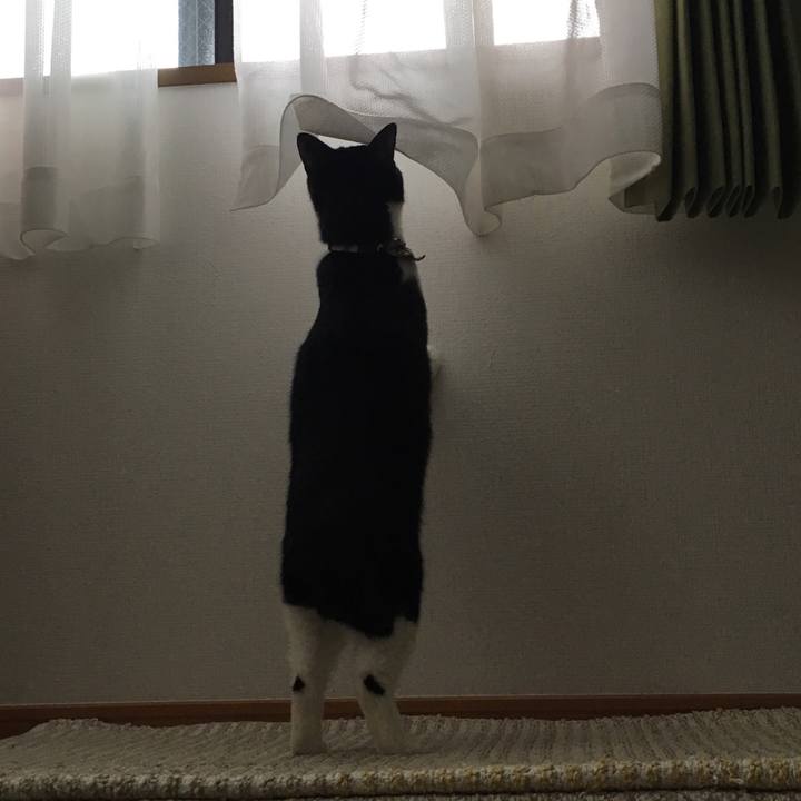 D02fe6a2 fee4 4d42 8fd5 5f9669c2623d